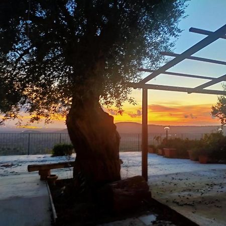 מלון San Calogero Il Colle Degli Ulivi מראה חיצוני תמונה
