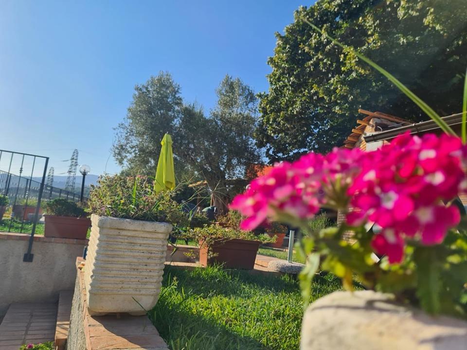 מלון San Calogero Il Colle Degli Ulivi מראה חיצוני תמונה