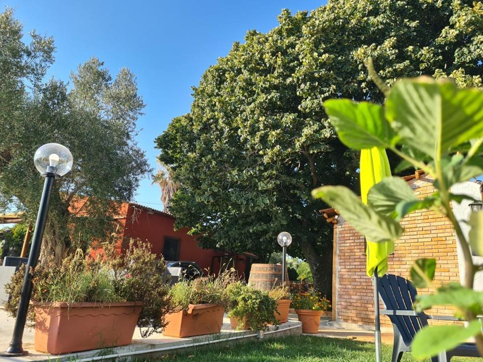 מלון San Calogero Il Colle Degli Ulivi מראה חיצוני תמונה