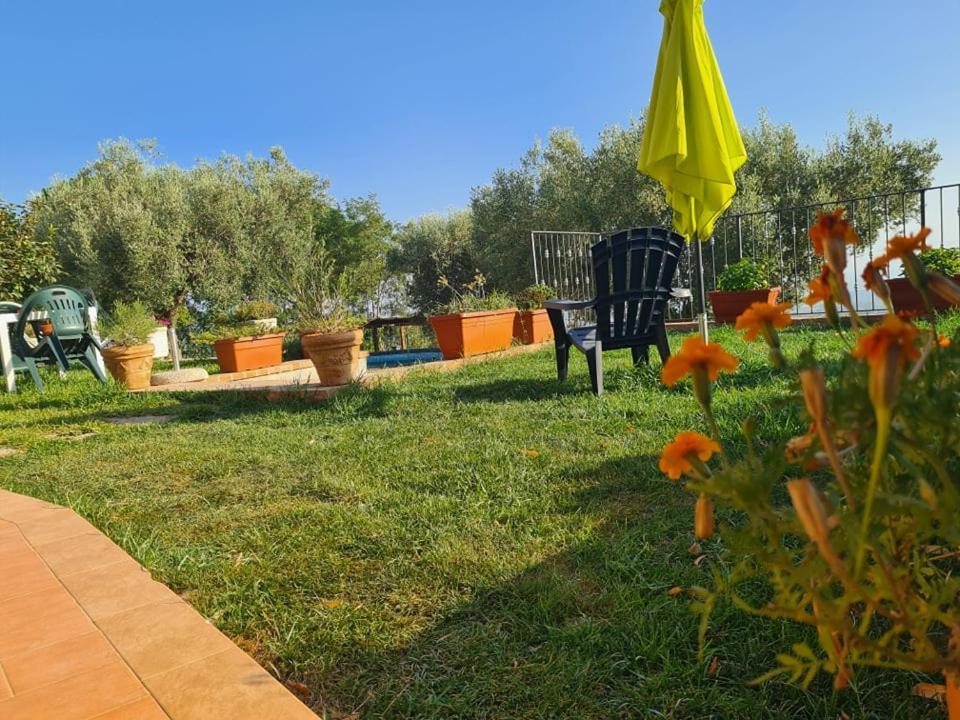 מלון San Calogero Il Colle Degli Ulivi מראה חיצוני תמונה