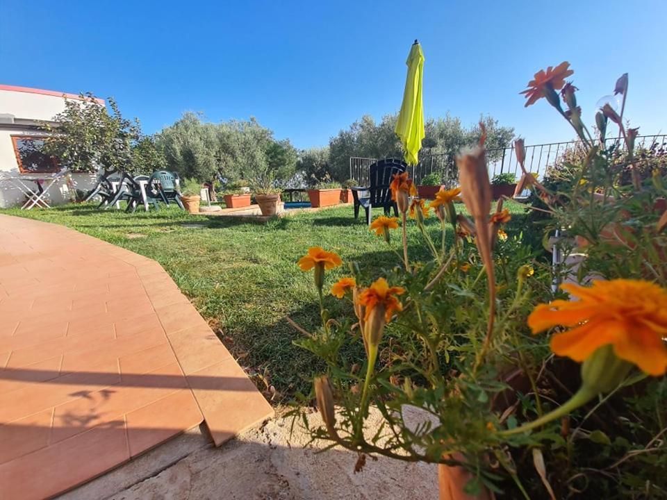 מלון San Calogero Il Colle Degli Ulivi מראה חיצוני תמונה