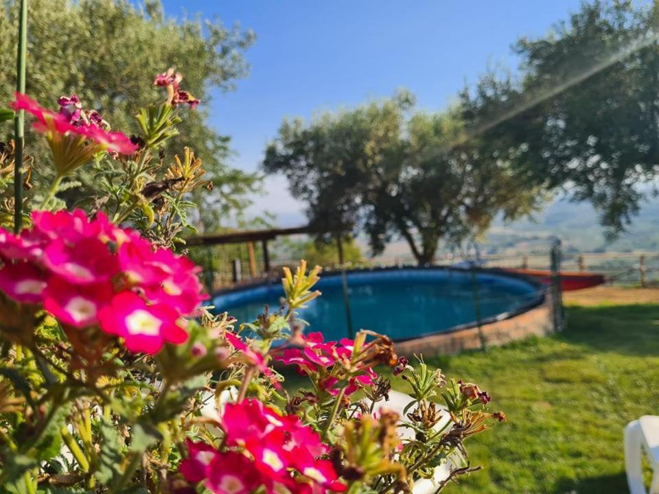 מלון San Calogero Il Colle Degli Ulivi מראה חיצוני תמונה
