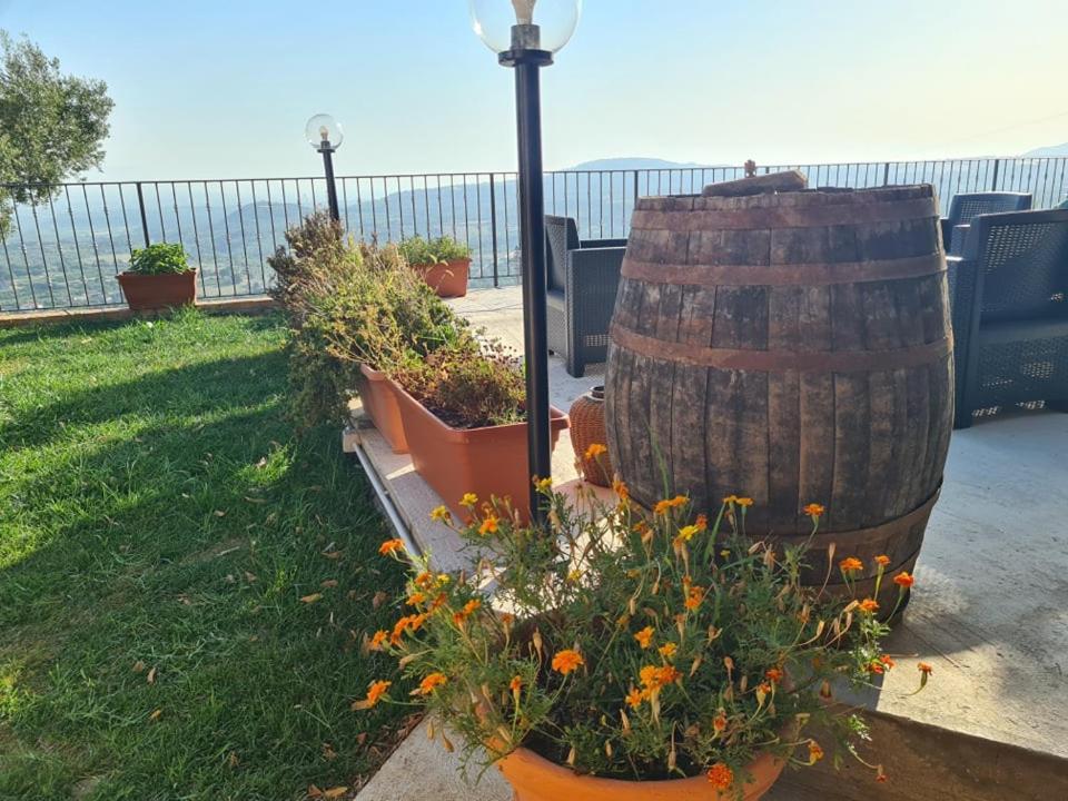 מלון San Calogero Il Colle Degli Ulivi מראה חיצוני תמונה