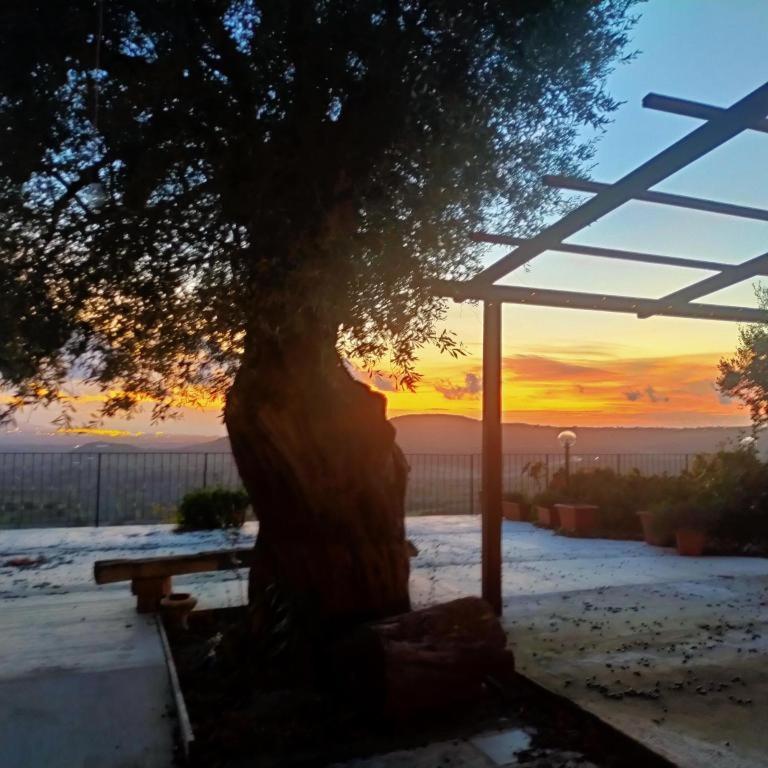 מלון San Calogero Il Colle Degli Ulivi מראה חיצוני תמונה