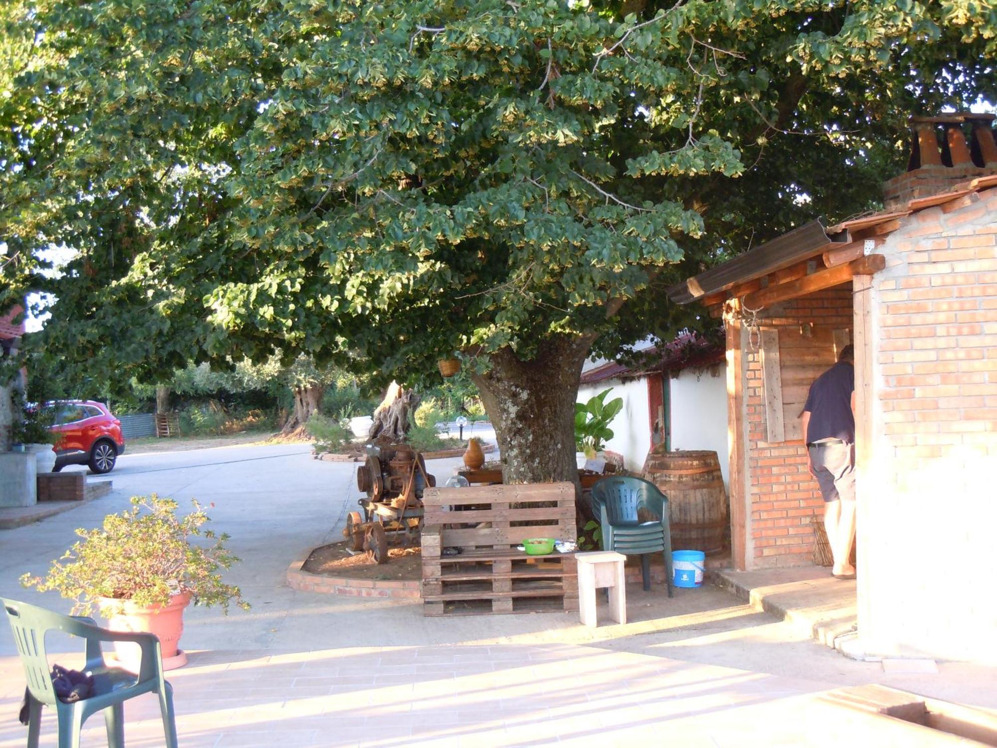 מלון San Calogero Il Colle Degli Ulivi מראה חיצוני תמונה