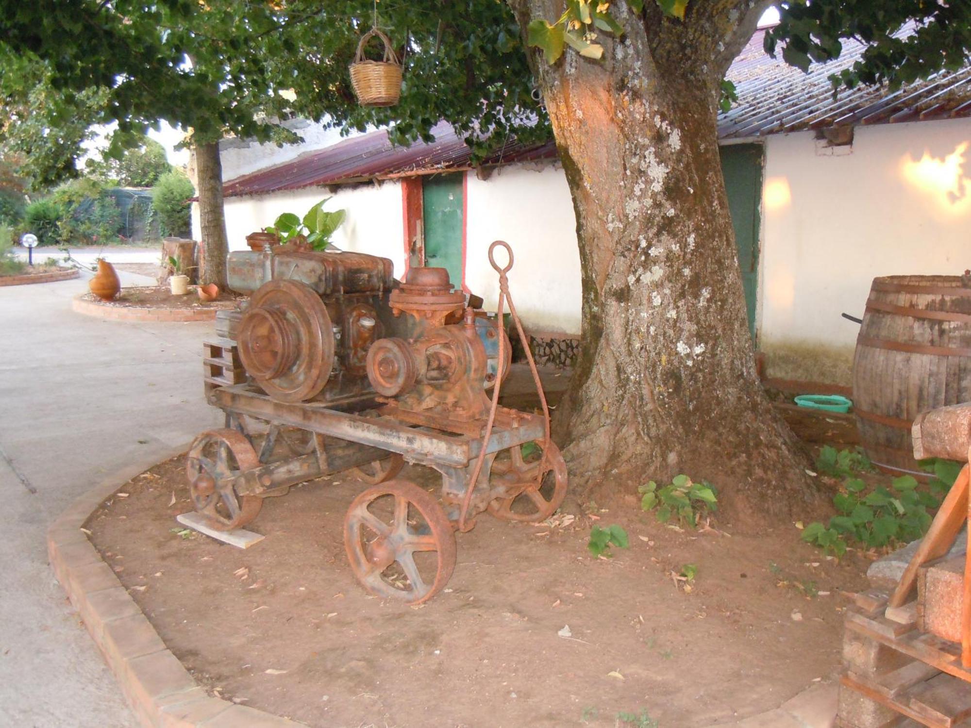 מלון San Calogero Il Colle Degli Ulivi מראה חיצוני תמונה