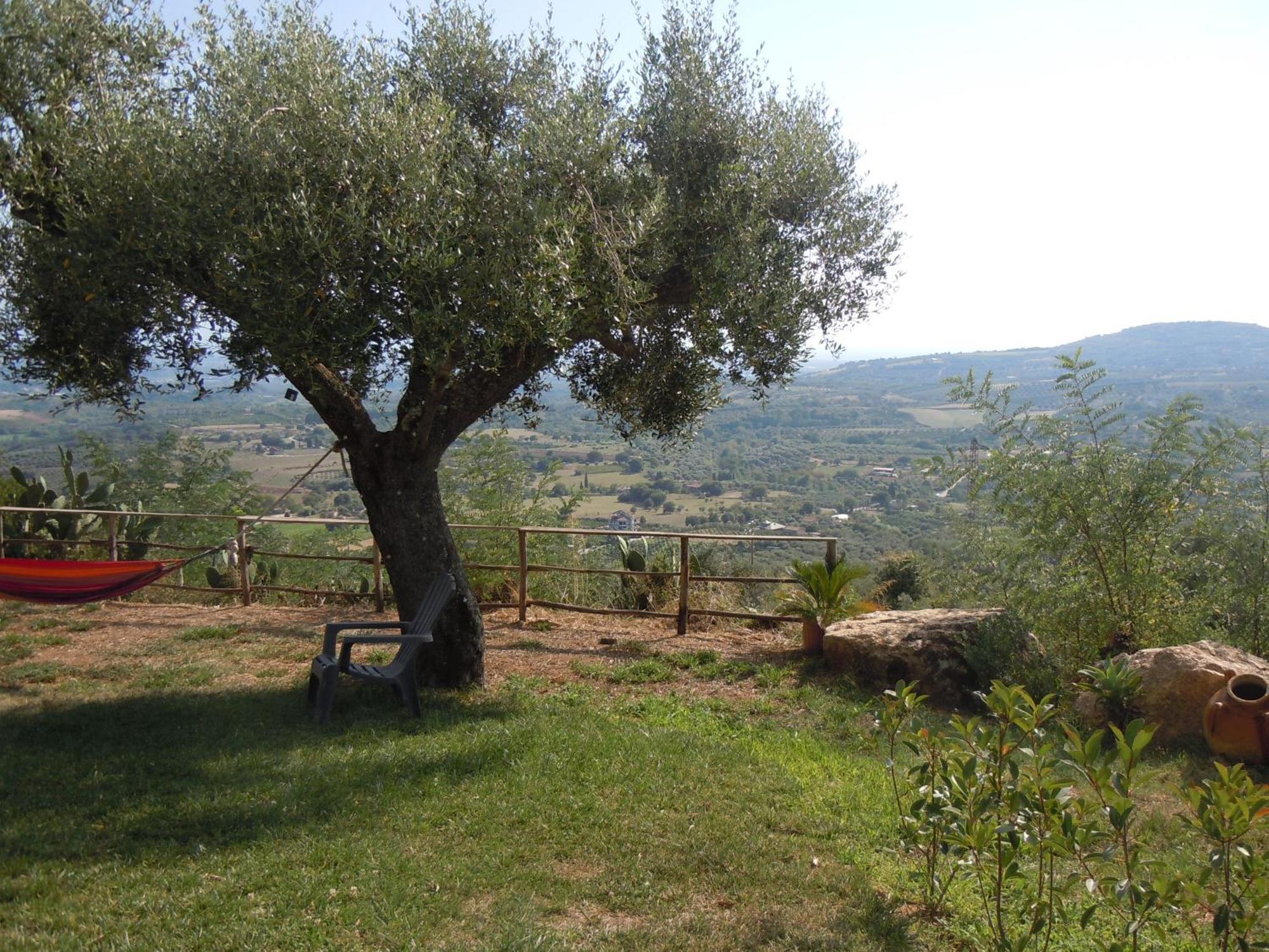 מלון San Calogero Il Colle Degli Ulivi מראה חיצוני תמונה