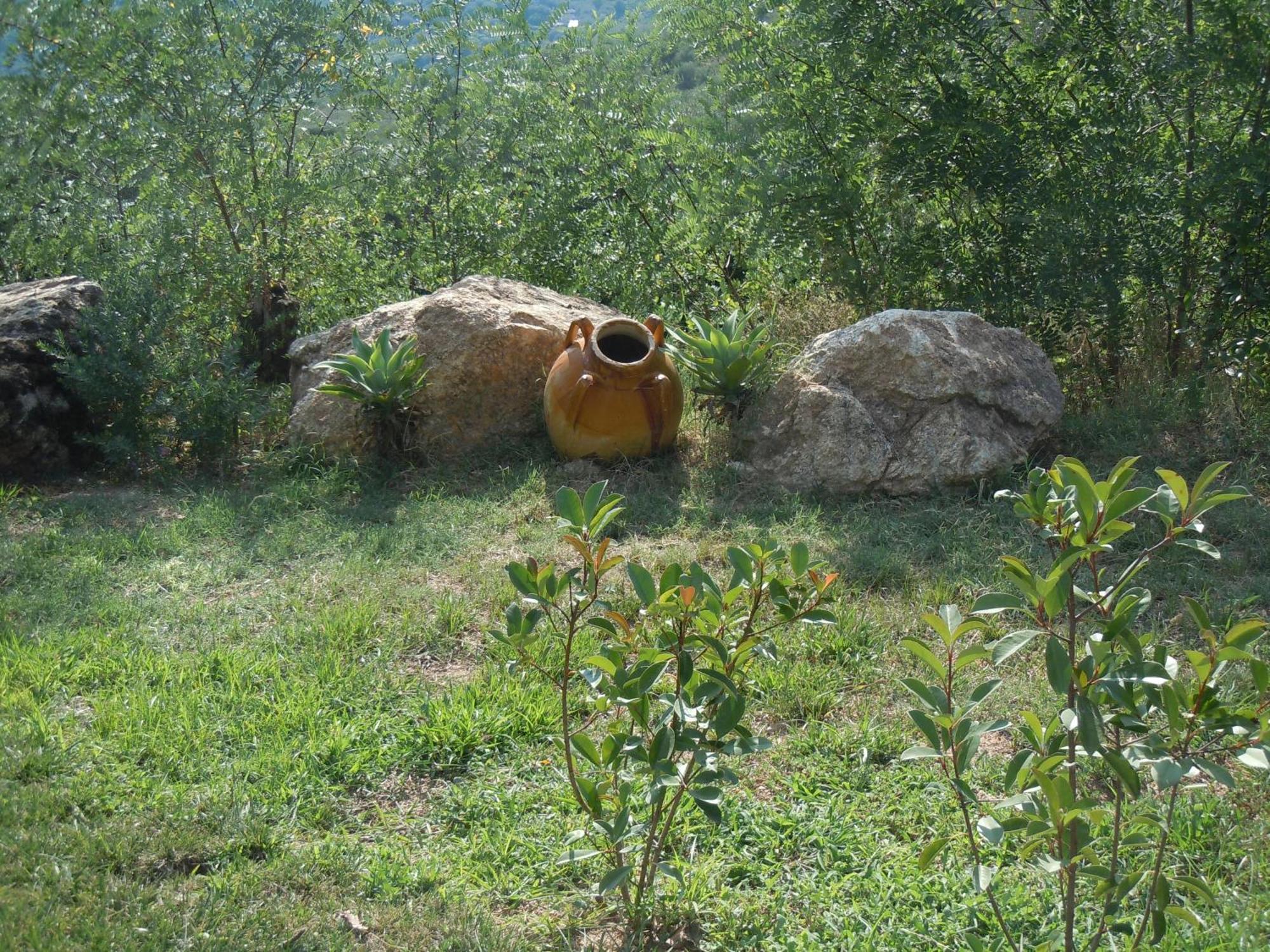 מלון San Calogero Il Colle Degli Ulivi מראה חיצוני תמונה