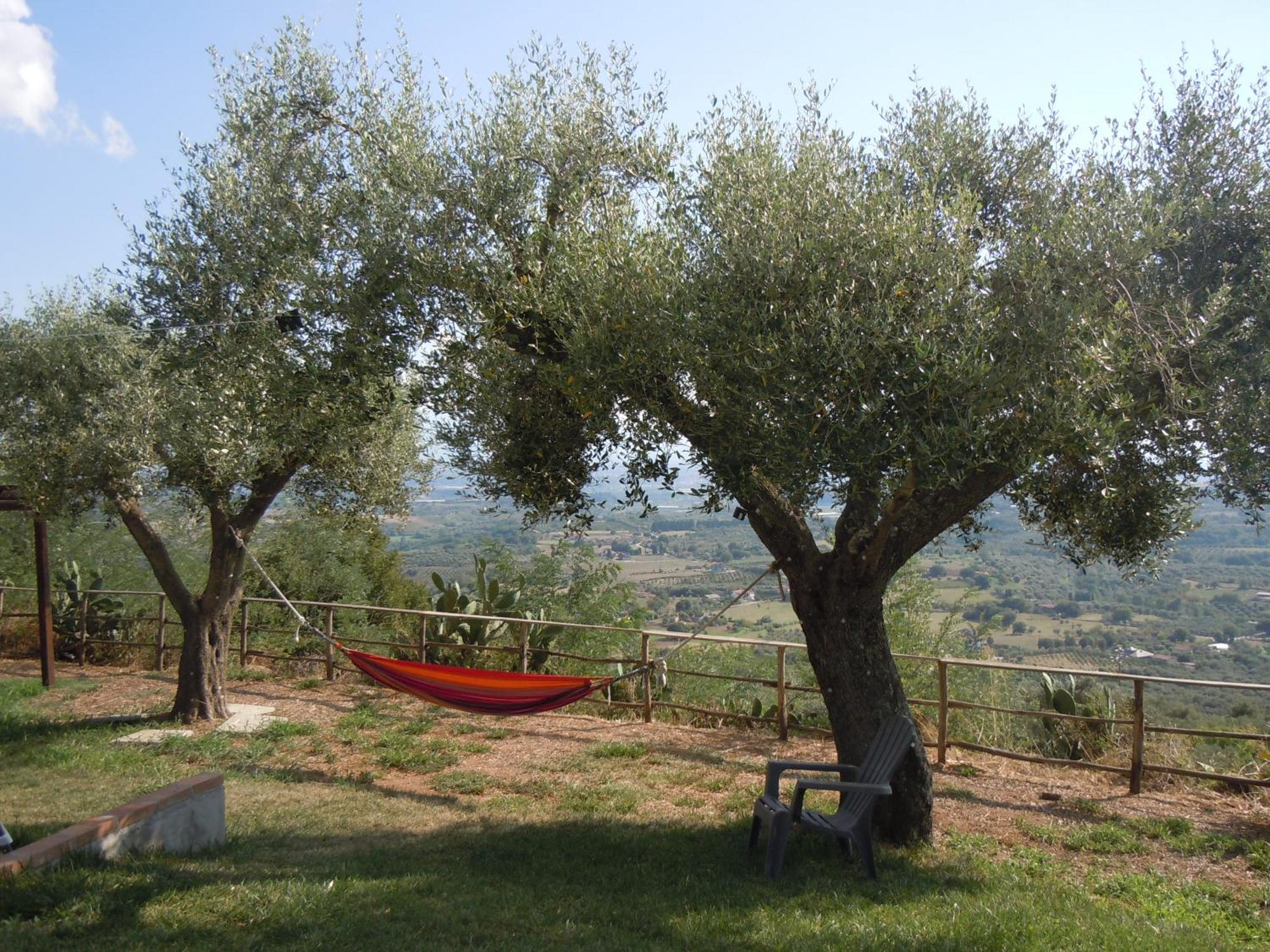 מלון San Calogero Il Colle Degli Ulivi מראה חיצוני תמונה