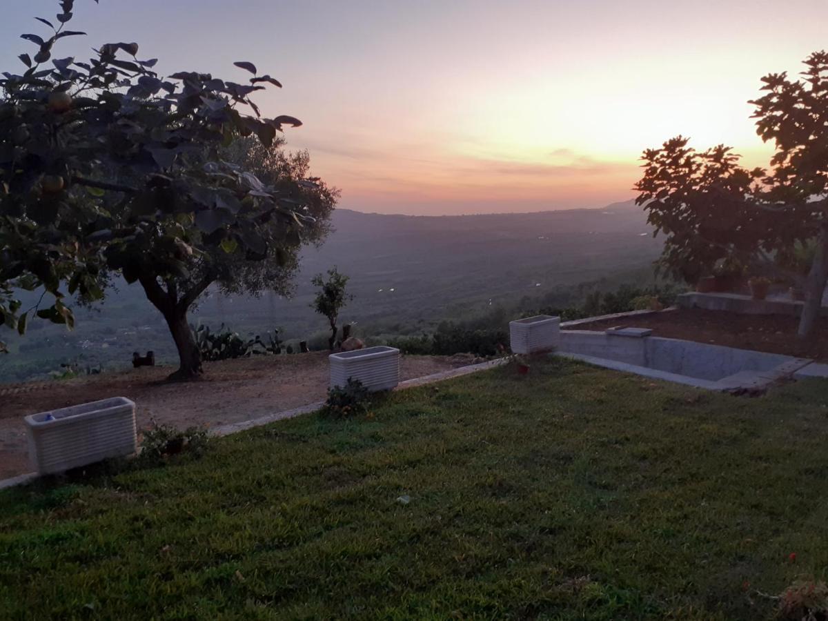 מלון San Calogero Il Colle Degli Ulivi מראה חיצוני תמונה